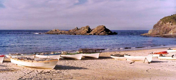 The-Seal-Rocks-Fishing-Fleet